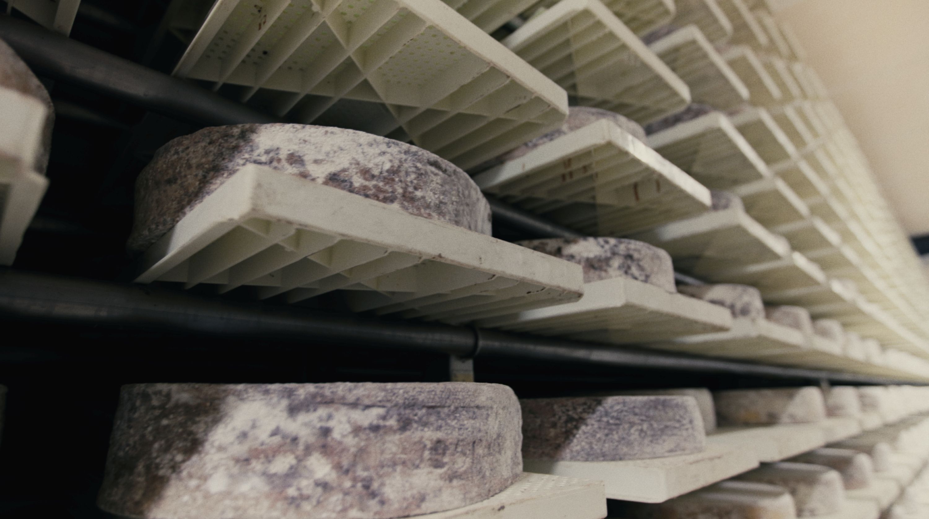 Gottardo_Tablar_mit_Käse.jpg