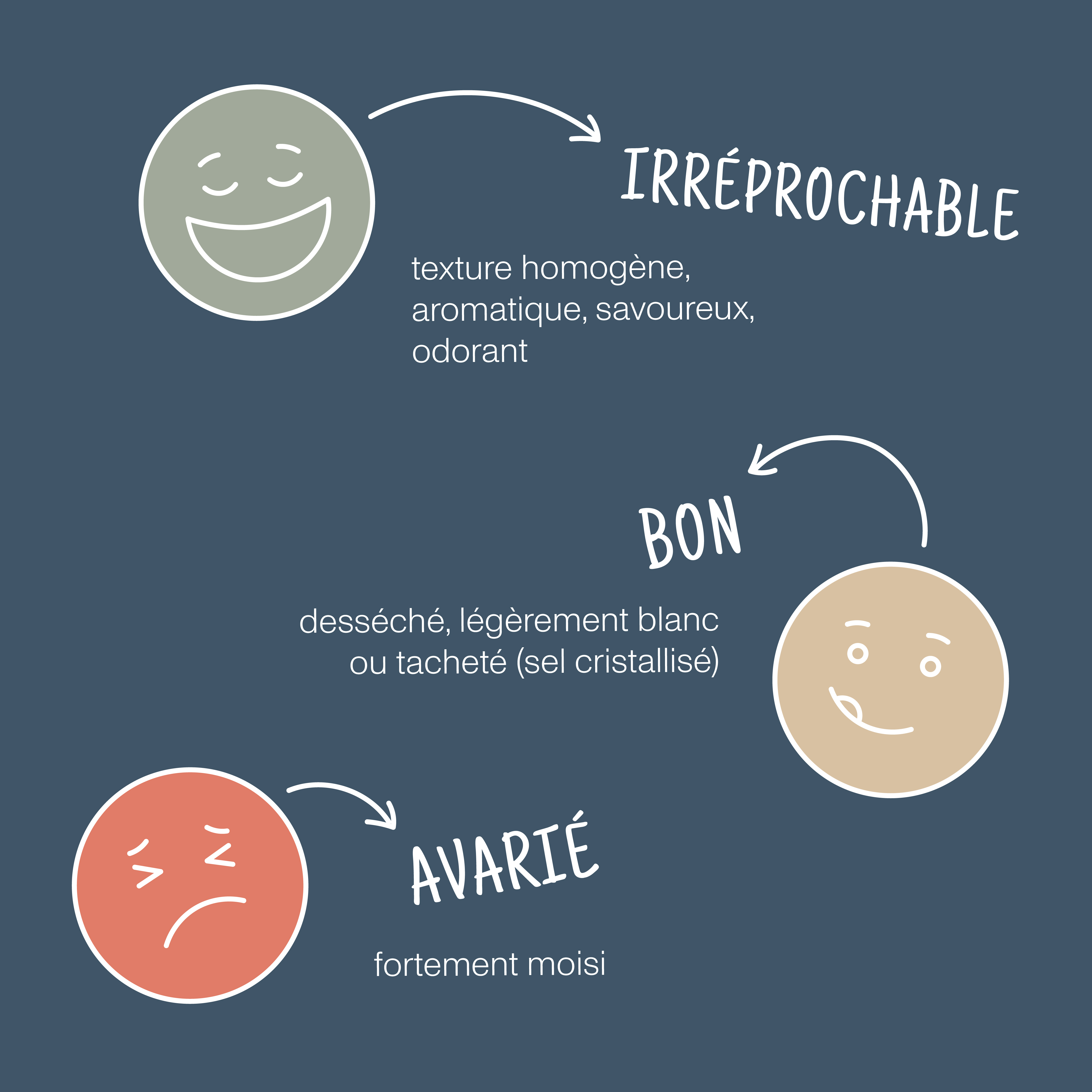 SCM_Sensorik-Ampel_post_FR__1_.jpg